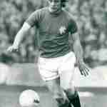 8f8e3a2c c7de 46b9 bfa4 b3fa602527ca